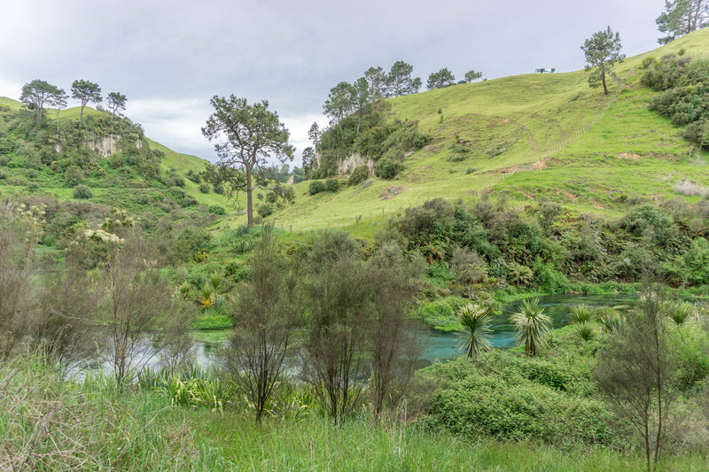 The green hills and blue waters of the Waihou River.