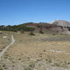 Near the Mammoth Crest Alternate Spur.