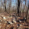 Don't let the jumble of rocks discourage you at the beginning of Middle Ridge.