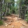 Boulders along the trail.