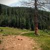 End of the trail just across from East Beaver Creek / Forest Road 379 / Foresters Trail.