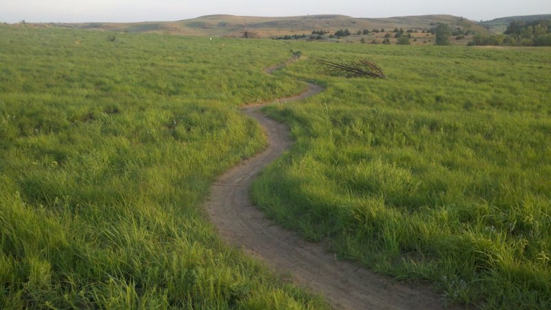 A segment of the EZ Loop. It is a 5.5 mi loop that begins and ends at the trailhead.