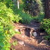 Looking back at the trail.