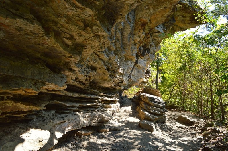 Lots of stuff like this on the way up the Yellow Rock Trail.