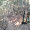 Trail along the ridge.