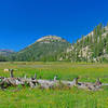 Looking down Horse Meadow toward Sachse Monument. Remarkable green and covered with flowers.