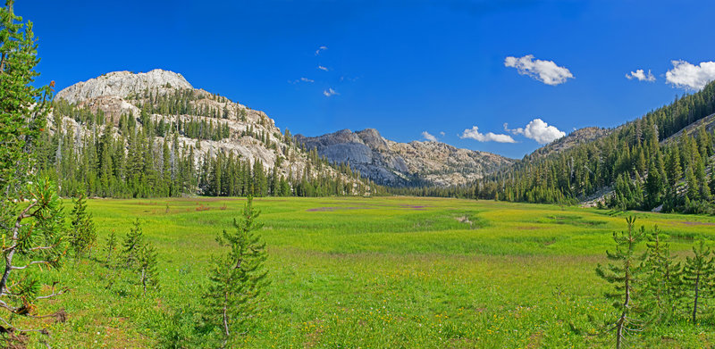 Looking up Horse Meadows from near junction with Huckleberry Trail with Grizzly Peak in the center background