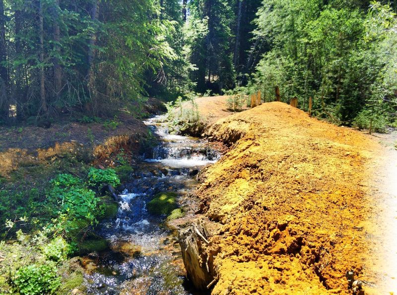 Bizarre tailing piles from the old gold mines