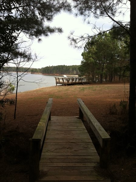 Observation deck over looking West Point Lake towards the end of the easier Lakeside Trail. Perfect place to relax for a bit and possibly see some osprey or eagles.