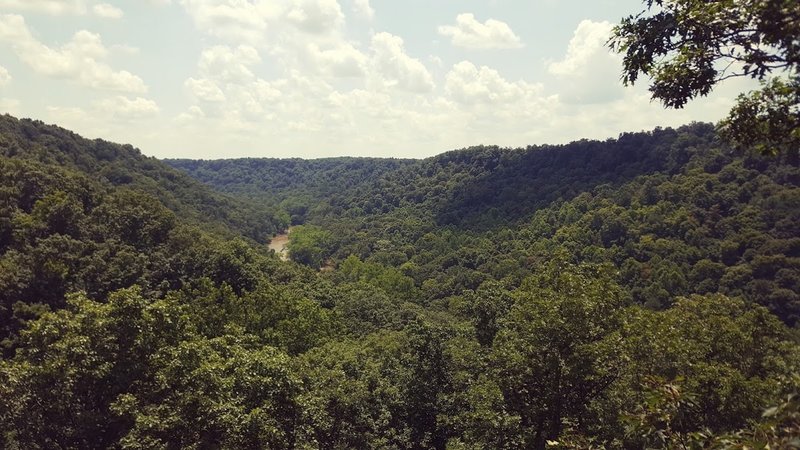 Overlooking Paint Creek