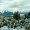 Maligne Lake and the mountains to the east from high on Bald Hills Trail