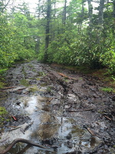 These bogs are why its better in drier conditions.