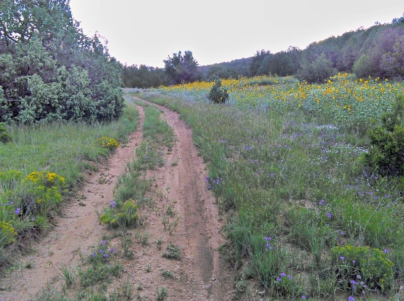 Valley section near the north end.