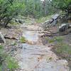 Bedrock pavement in the arroyo.