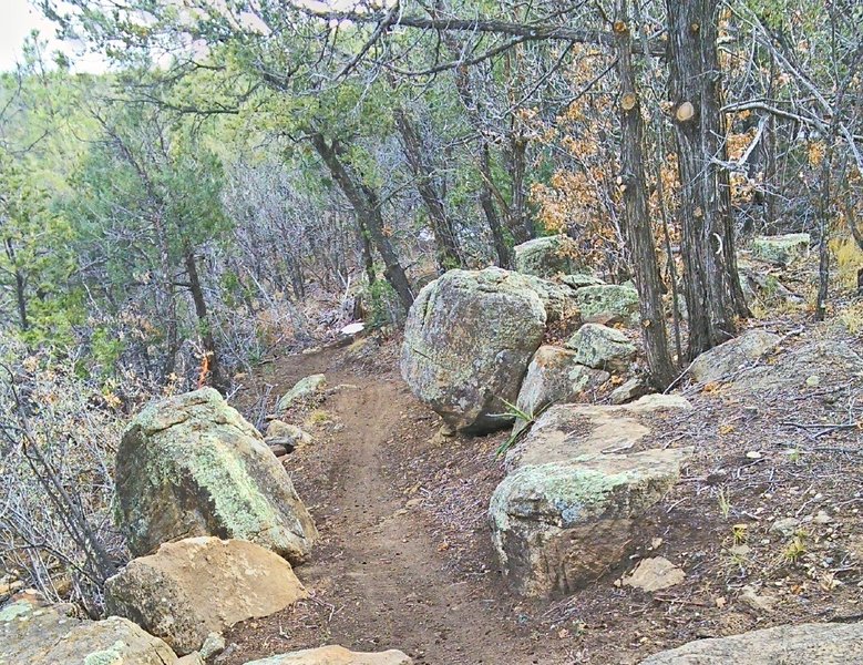 Amidst boulders on Southern Crossing Trail.