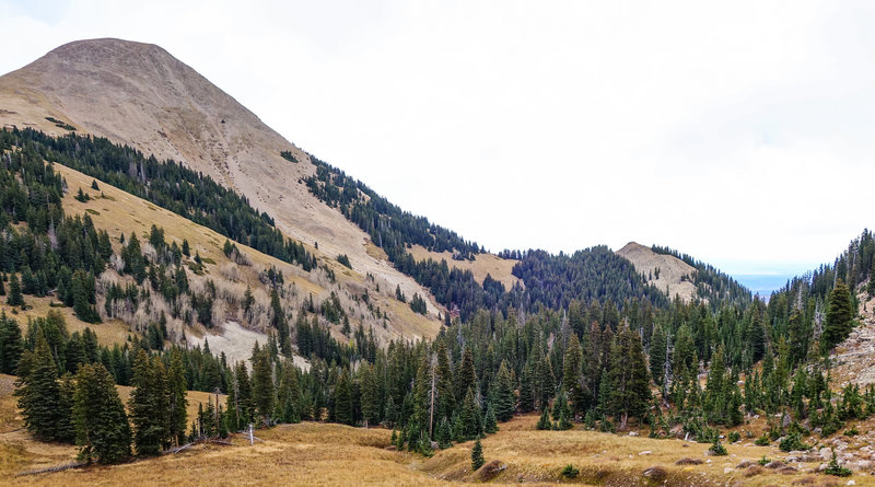 Burro Pass Trail #315.