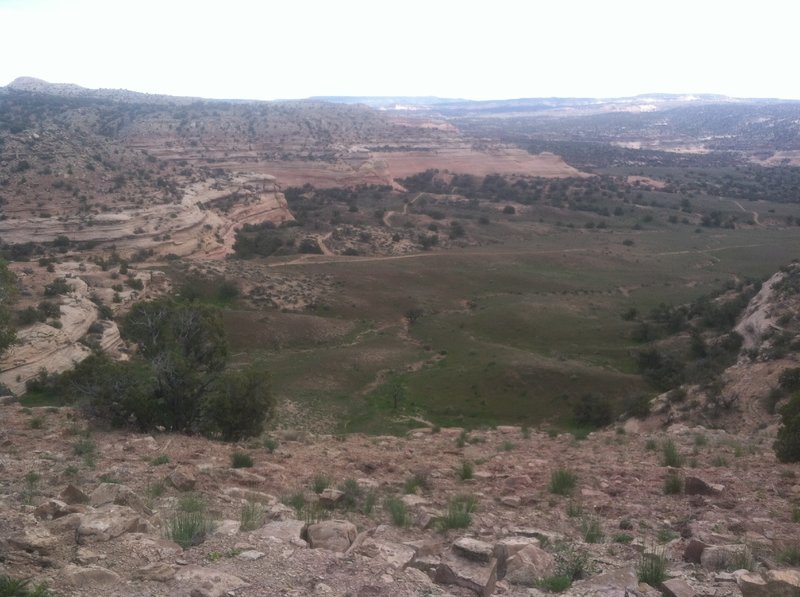 Looking down from the ridge at trail #8.