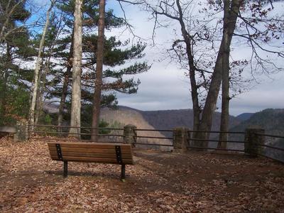 Bench on Rim Trail.