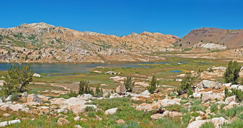 Emigrant Meadow Lake looking north