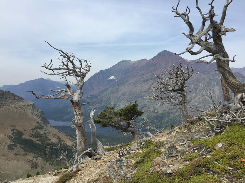 Wow. Very windy trail!