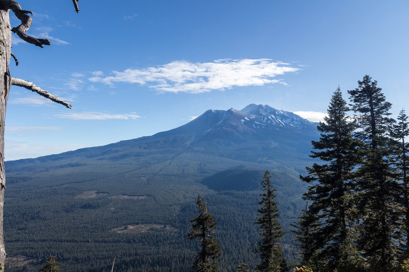 Mount Shasta and Shastina