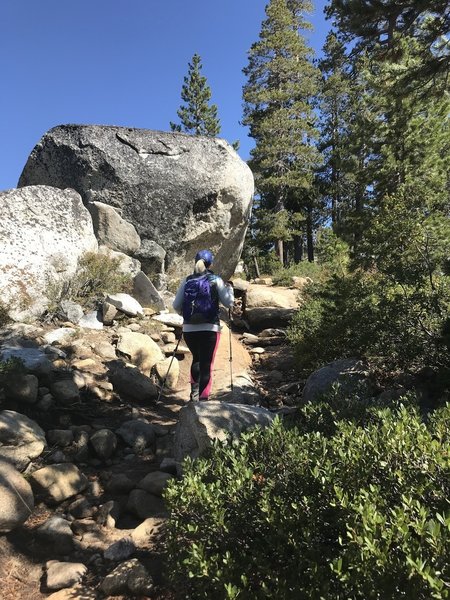 The Twin Lakes Trail between Wrights Lake and Desolation Wilderness sign.