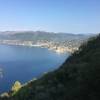 Sea views looking back to Camogli are plentiful in the first portion of the trail to Mortola.