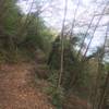 Typical section of trail, switchbacks under nice tree shade.