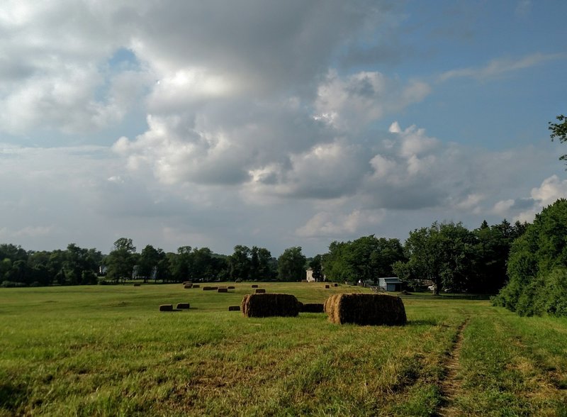 Hay bales in the late spring.