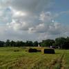 Hay bales in the late spring.