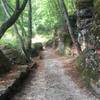 Multi-trail junction at Pietre Strette. There is also potable water and benches here for a rest.