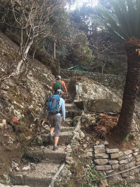 Starting up the many steps up and away from San Fruttuoso