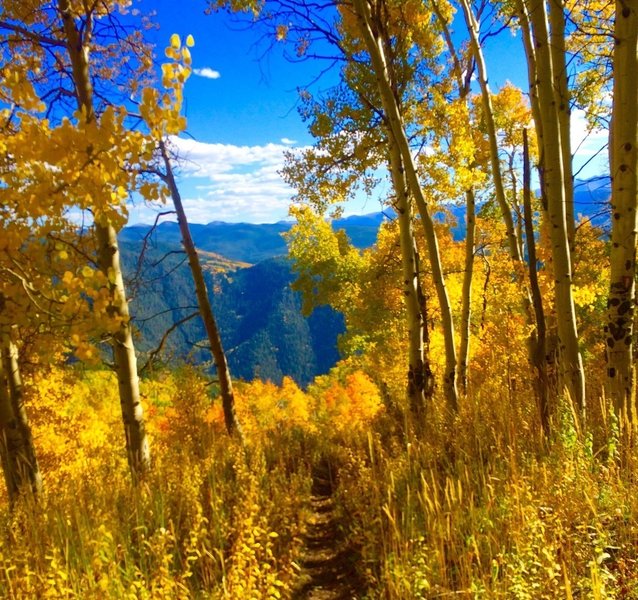 One of the many great spots for views, and one of the few good spots of trail.