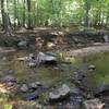 Stream cutting through Morning Choice Trail.