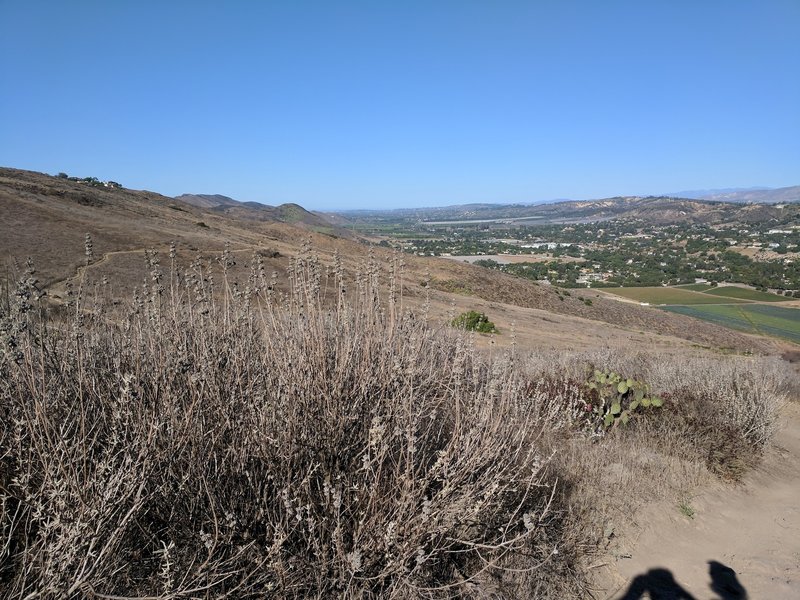 Great views of the Santa Rosa Valley to the north. This view is looking west. This was a clear day and we could see the ocean about 21 miles in the distance