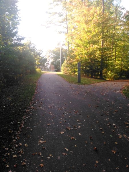 Fork in the trail, at the Southern Boundaries park.