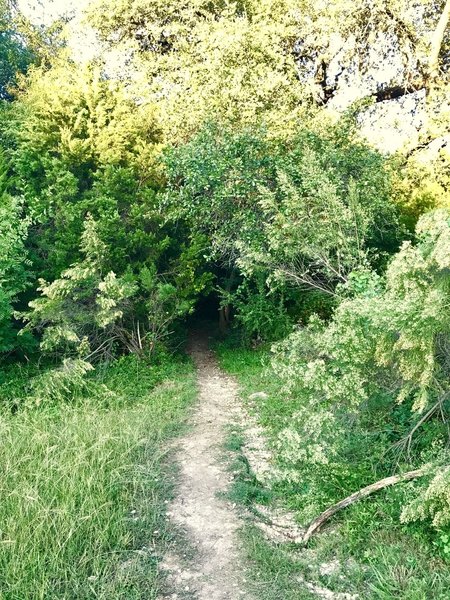 Smith Greenbelt to Hamilton Green Belt Connector TrailHead - Lakeway Drive