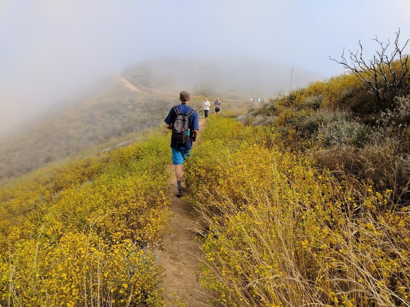 Popular trail on a July 4th.  he trails personality changed every few minutes due to the patchy low clouds.