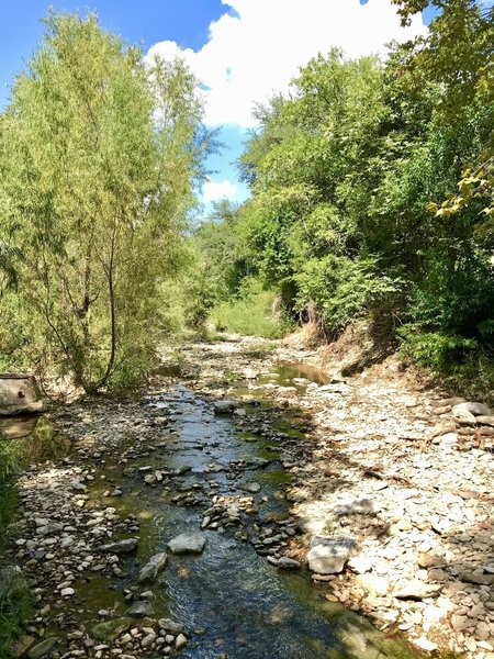 Lower Shoal Creek Trail....half a block from the downtown Austin REI store!