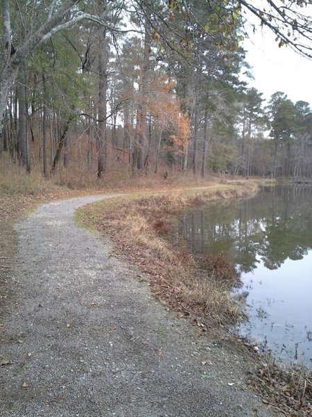 A section of the Lakeside Trail.