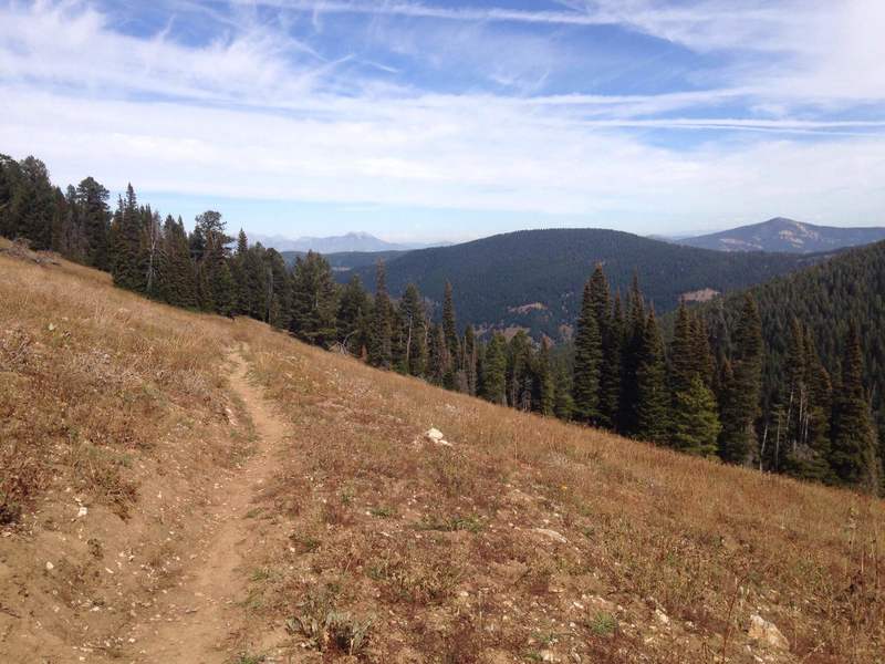 Looking north east at the Bridger Mountains.