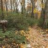 The start of Old Tram Trail off Boiling Springs Trail.