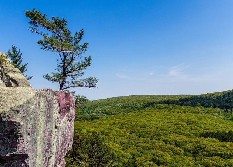 Looking east from the East Bluff Trail