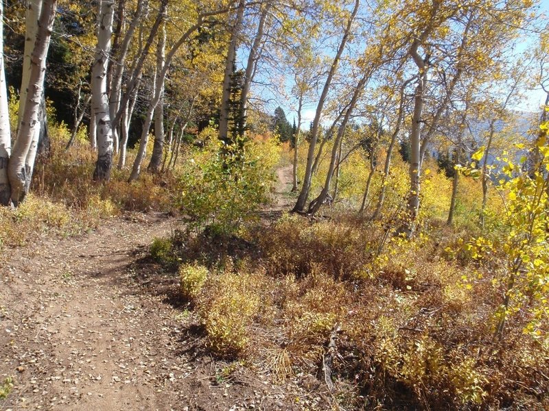 Peaked Trail. Photo by Dana Ramos.