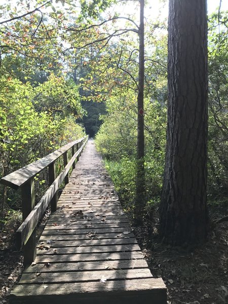 Bridge crossing, great spot to spot wildlife.