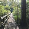 Bridge crossing, great spot to spot wildlife.