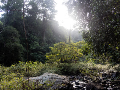 Hiking alongside the Sok River.