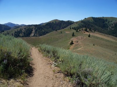 A beautiful day in Greenhorn Gulch is hard to beat!