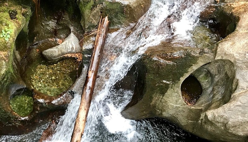 Erosion holes in streambed