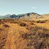 Trail includes vista views of the entire Methow Valley and Cascade Mountain Range